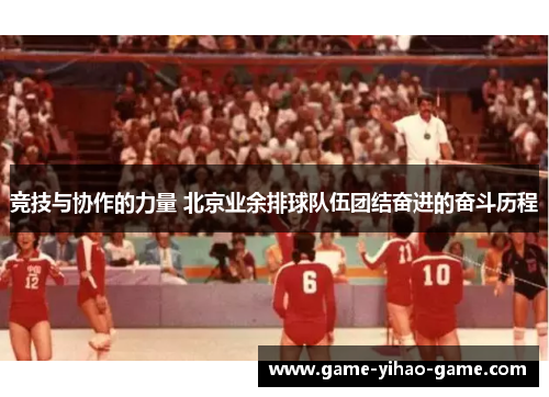 竞技与协作的力量 北京业余排球队伍团结奋进的奋斗历程