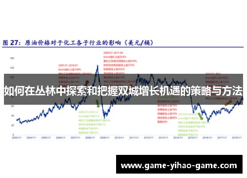 如何在丛林中探索和把握双城增长机遇的策略与方法