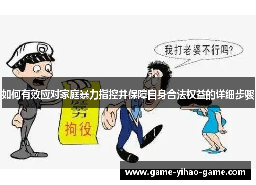 如何有效应对家庭暴力指控并保障自身合法权益的详细步骤