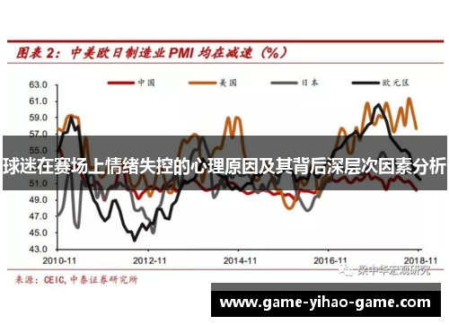 球迷在赛场上情绪失控的心理原因及其背后深层次因素分析