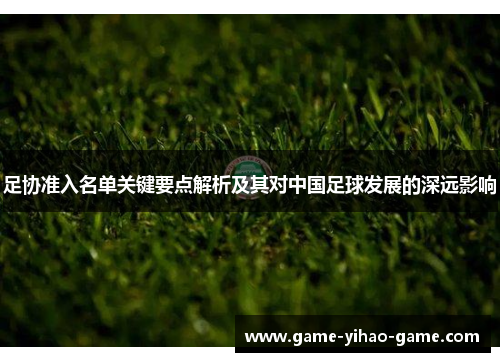 足协准入名单关键要点解析及其对中国足球发展的深远影响