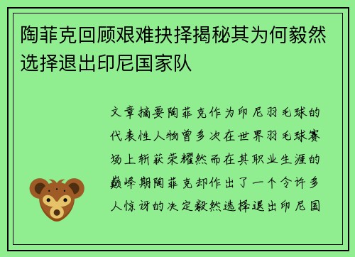 陶菲克回顾艰难抉择揭秘其为何毅然选择退出印尼国家队