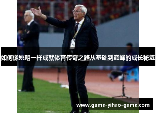 如何像姚明一样成就体育传奇之路从基础到巅峰的成长秘笈